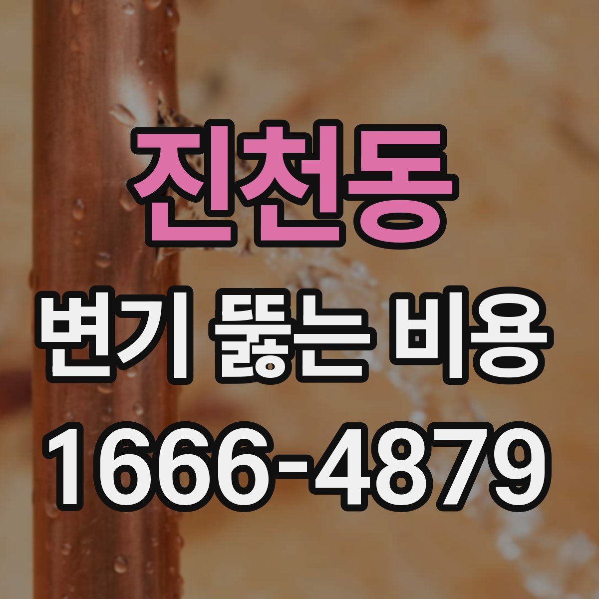 진천동 변기 뚫는 비용