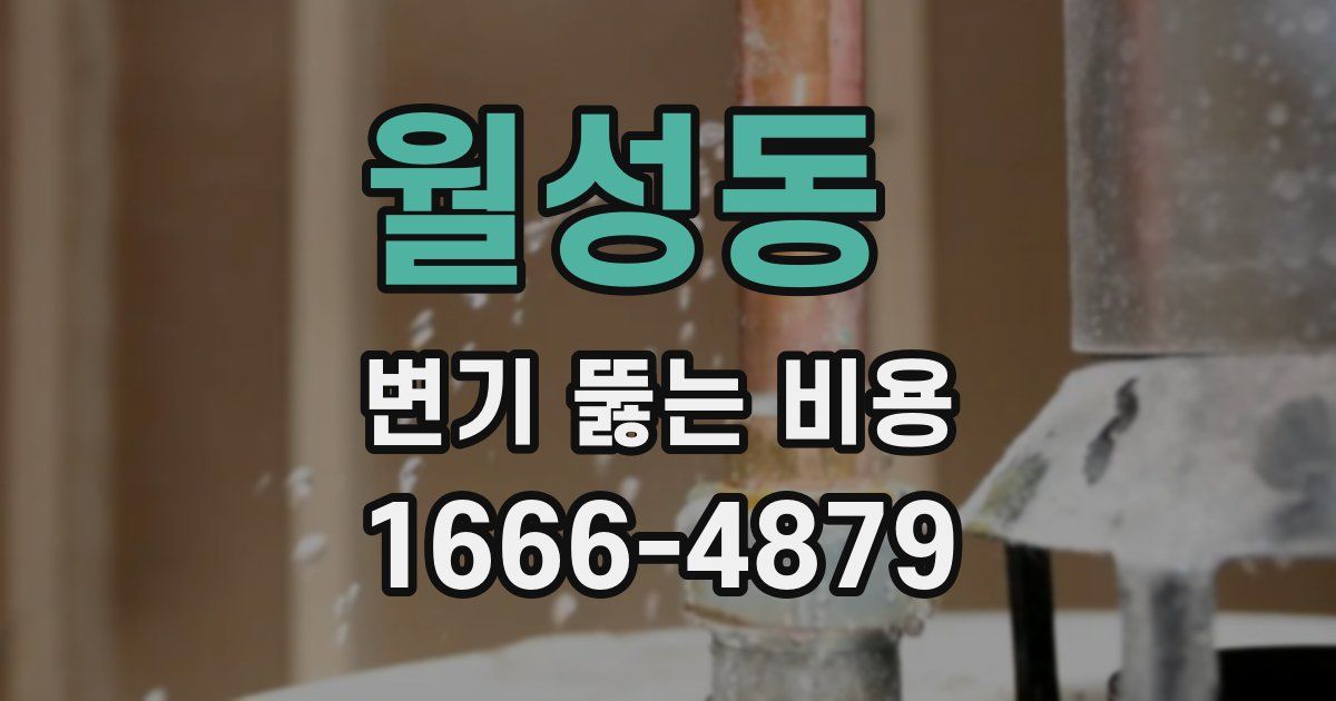 월성동 변기 뚫는 비용