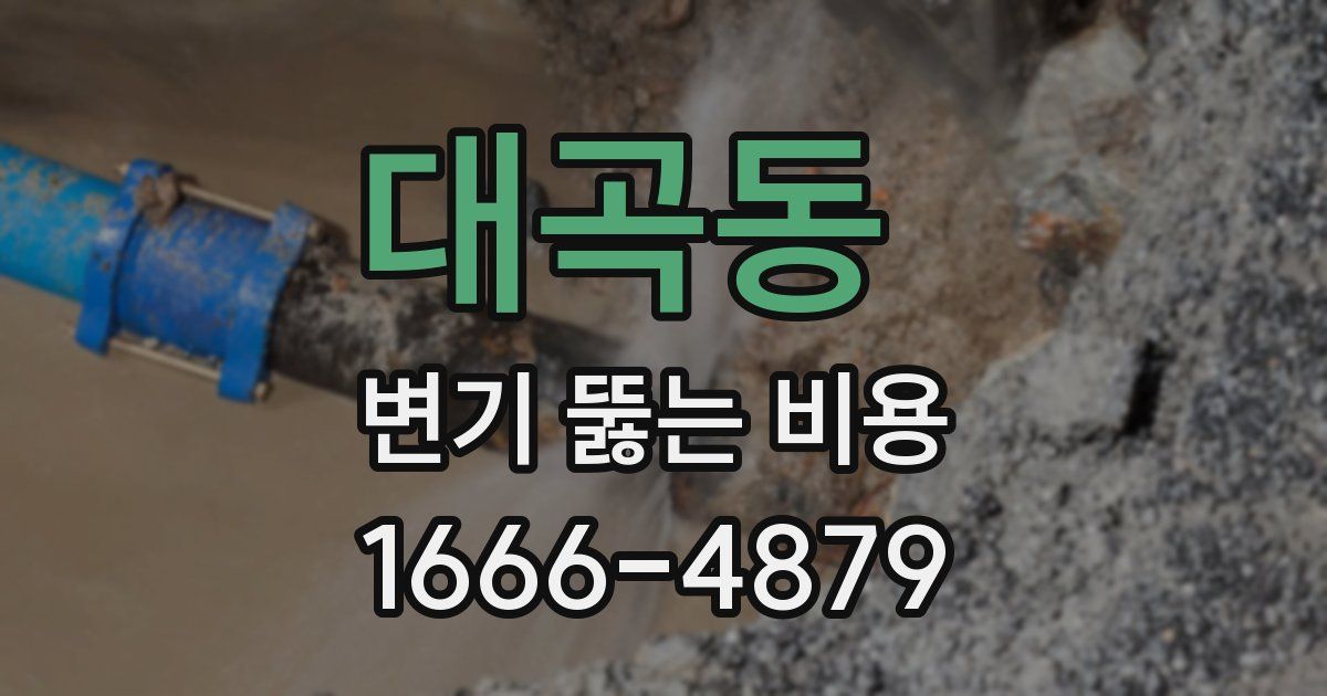대곡동 변기 뚫는 비용