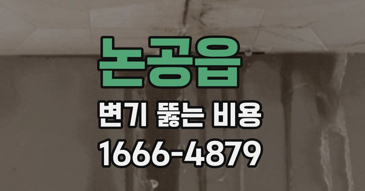 논공읍 변기 뚫는 비용