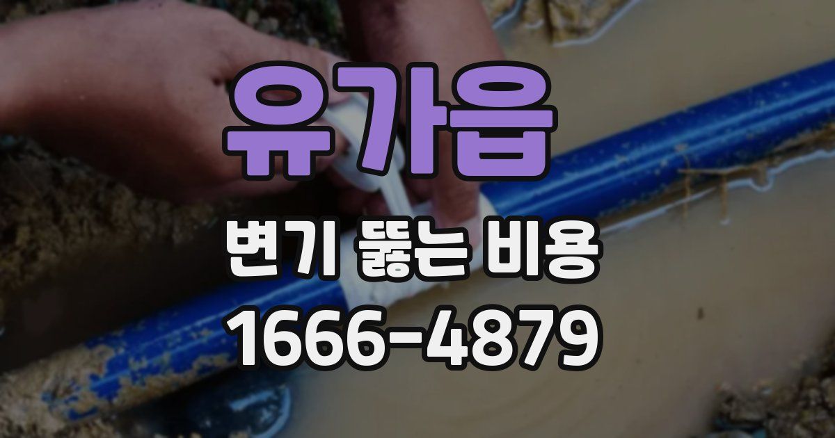 유가읍 변기 뚫는 비용