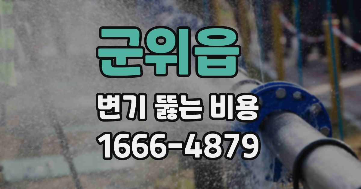 군위읍 변기 뚫는 비용