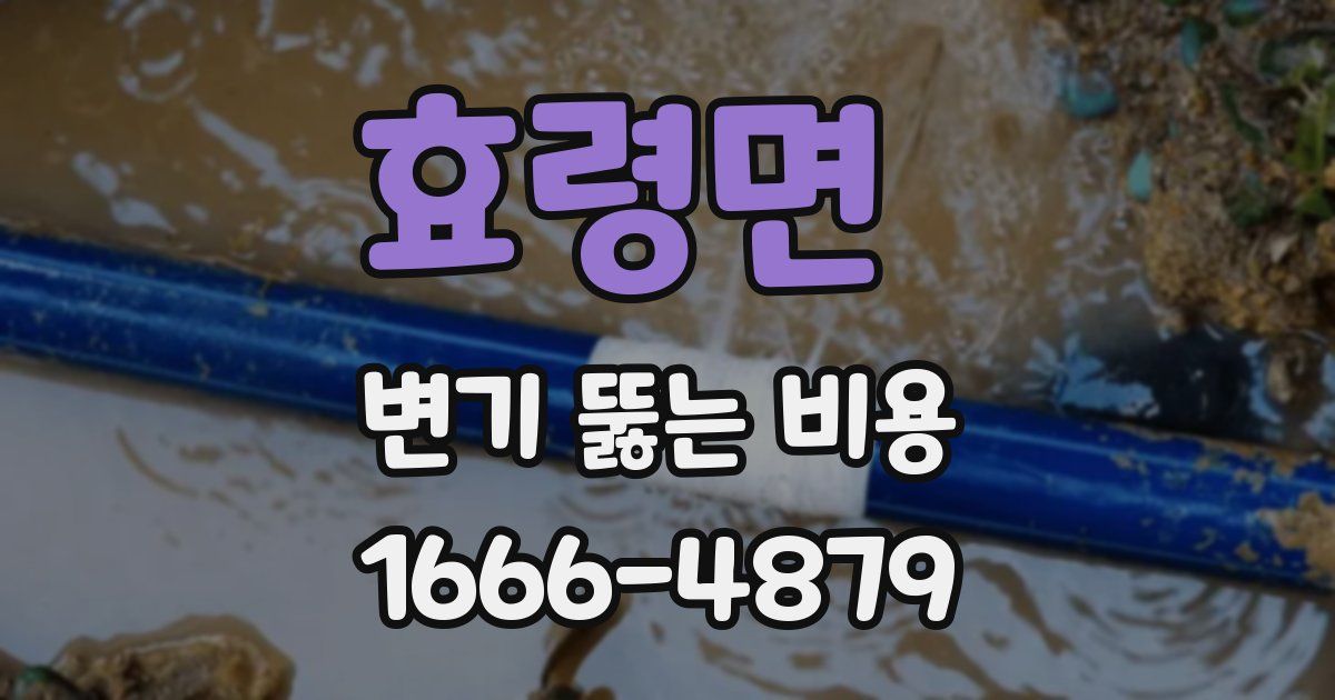 효령면 변기 뚫는 비용