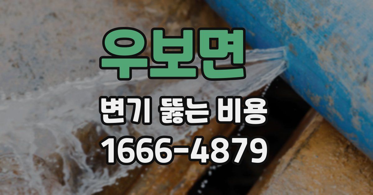 우보면 변기 뚫는 비용