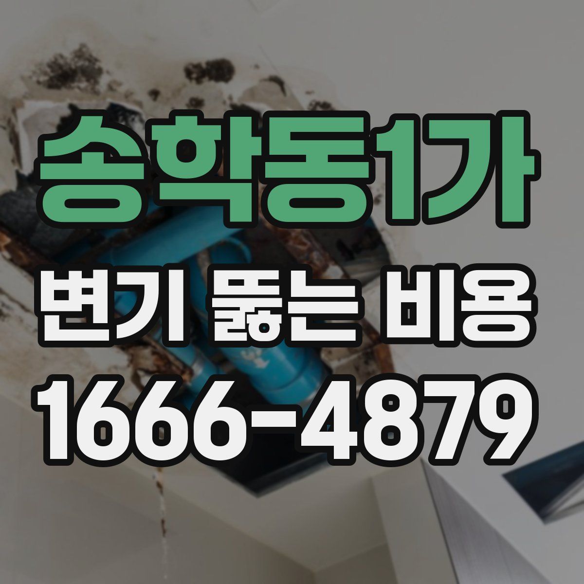 송학동1가 변기 뚫는 비용