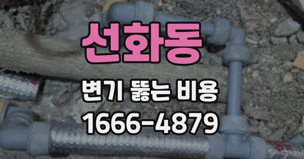 선화동 변기 뚫는 비용