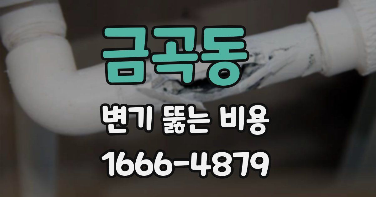 금곡동 변기 뚫는 비용