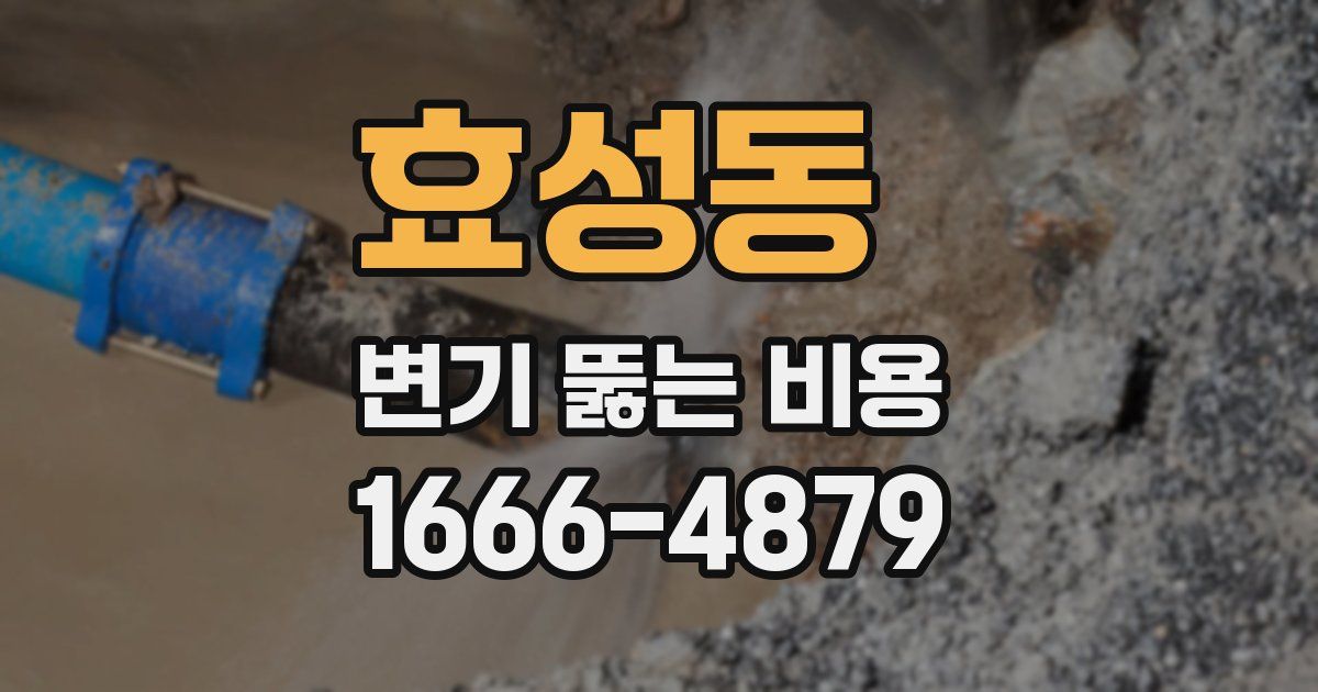 효성동 변기 뚫는 비용