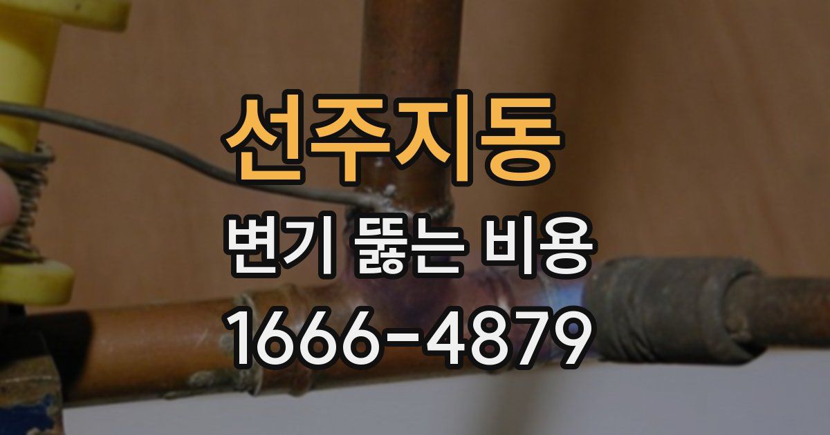 선주지동 변기 뚫는 비용