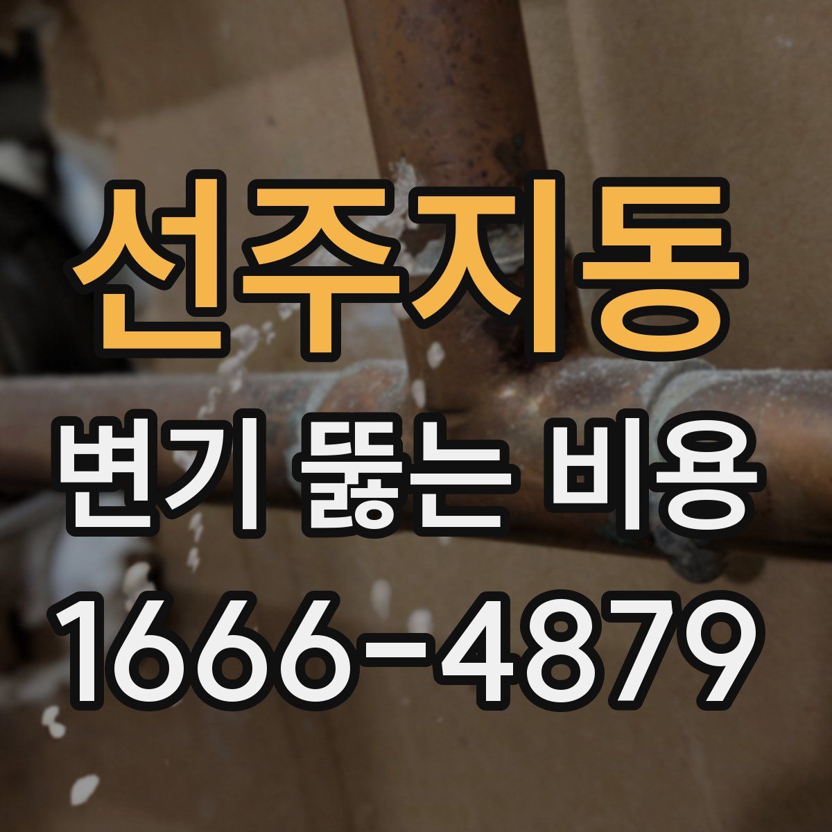 선주지동 변기 뚫는 비용