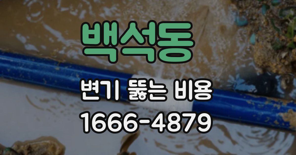 백석동 변기 뚫는 비용