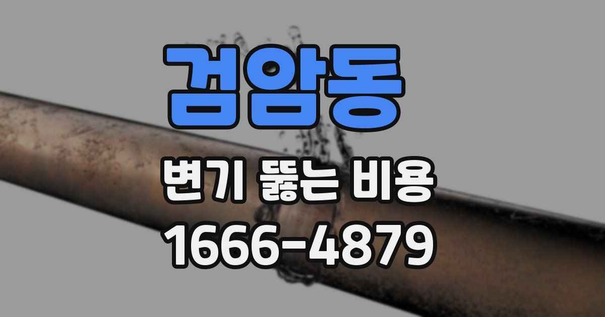 검암동 변기 뚫는 비용