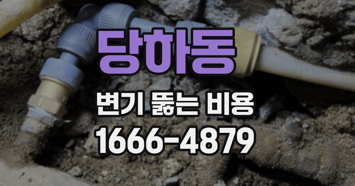 당하동 변기 뚫는 비용