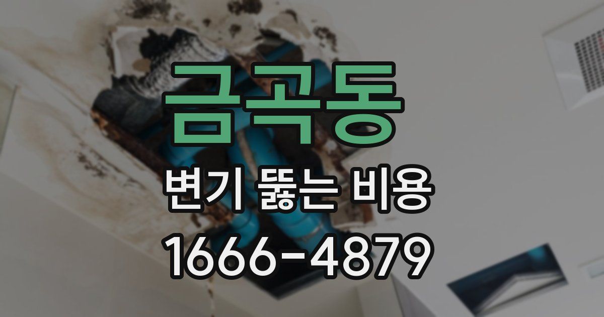금곡동 변기 뚫는 비용
