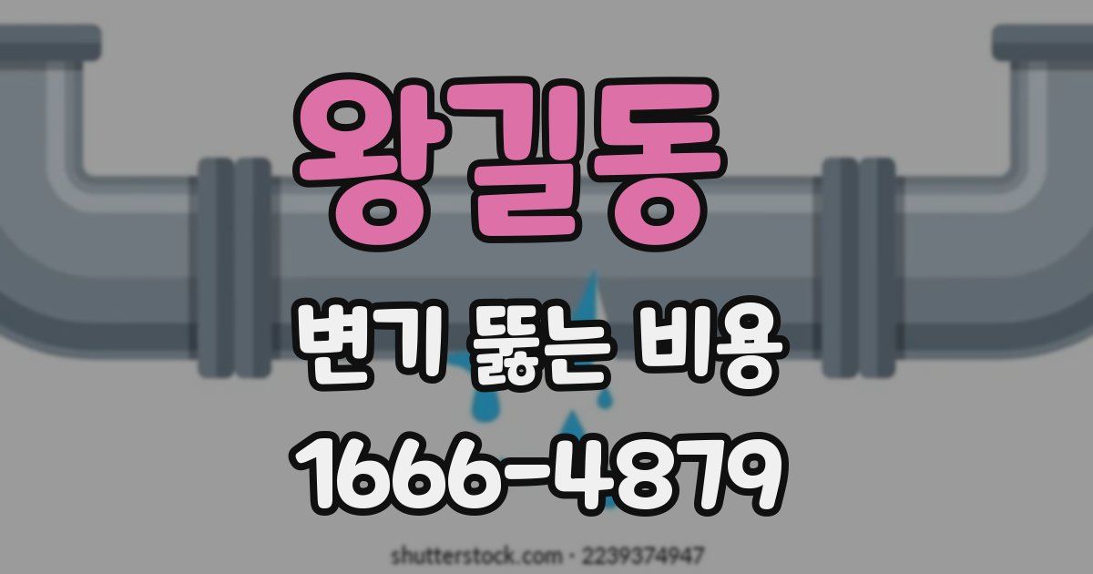 왕길동 변기 뚫는 비용