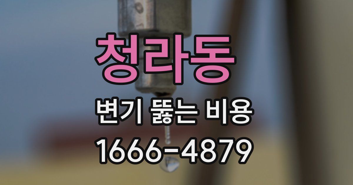 청라동 변기 뚫는 비용