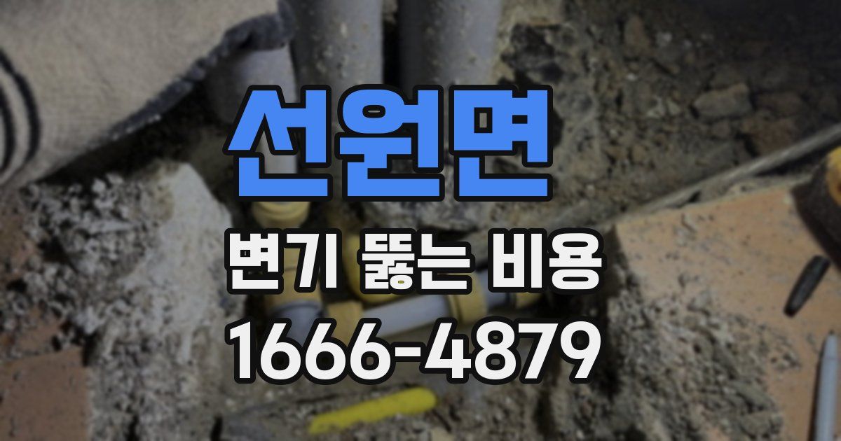 선원면 변기 뚫는 비용