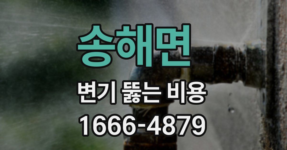 송해면 변기 뚫는 비용