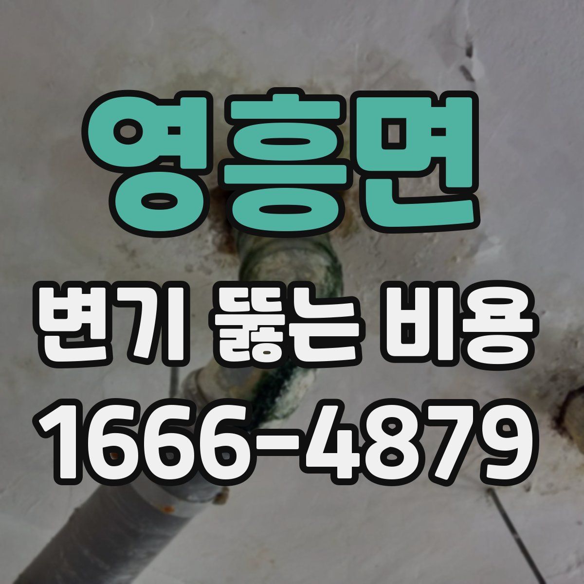 영흥면 변기 뚫는 비용