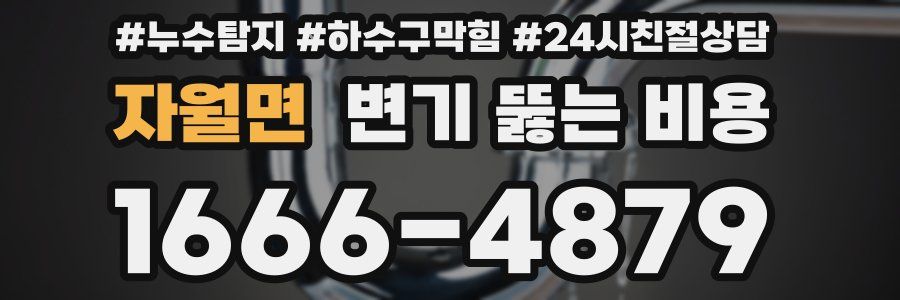 자월면 변기 뚫는 비용
