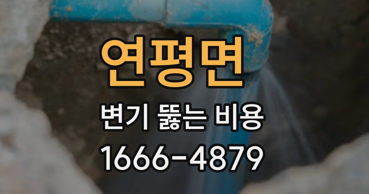 연평면 변기 뚫는 비용