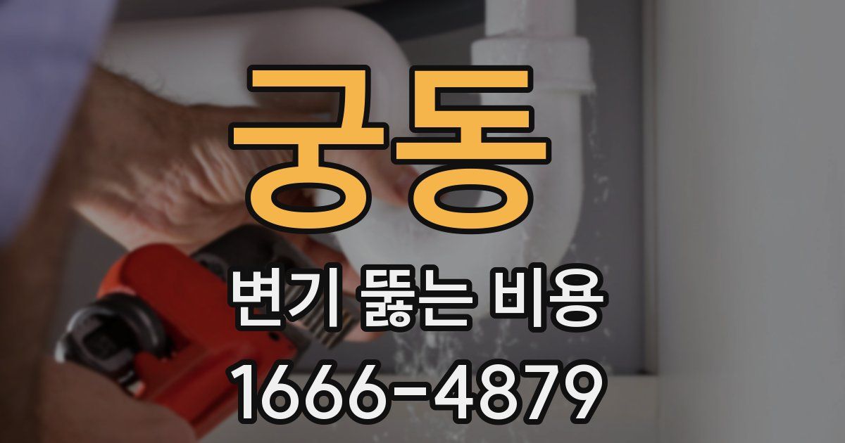 궁동 변기 뚫는 비용