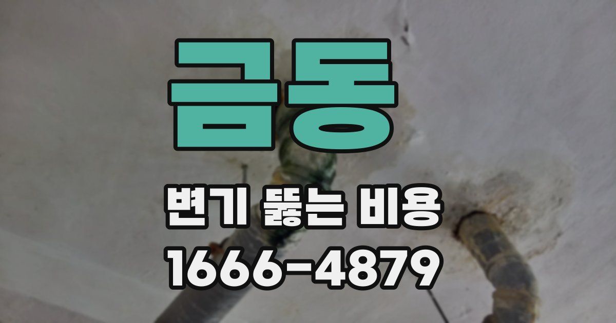 금동 변기 뚫는 비용