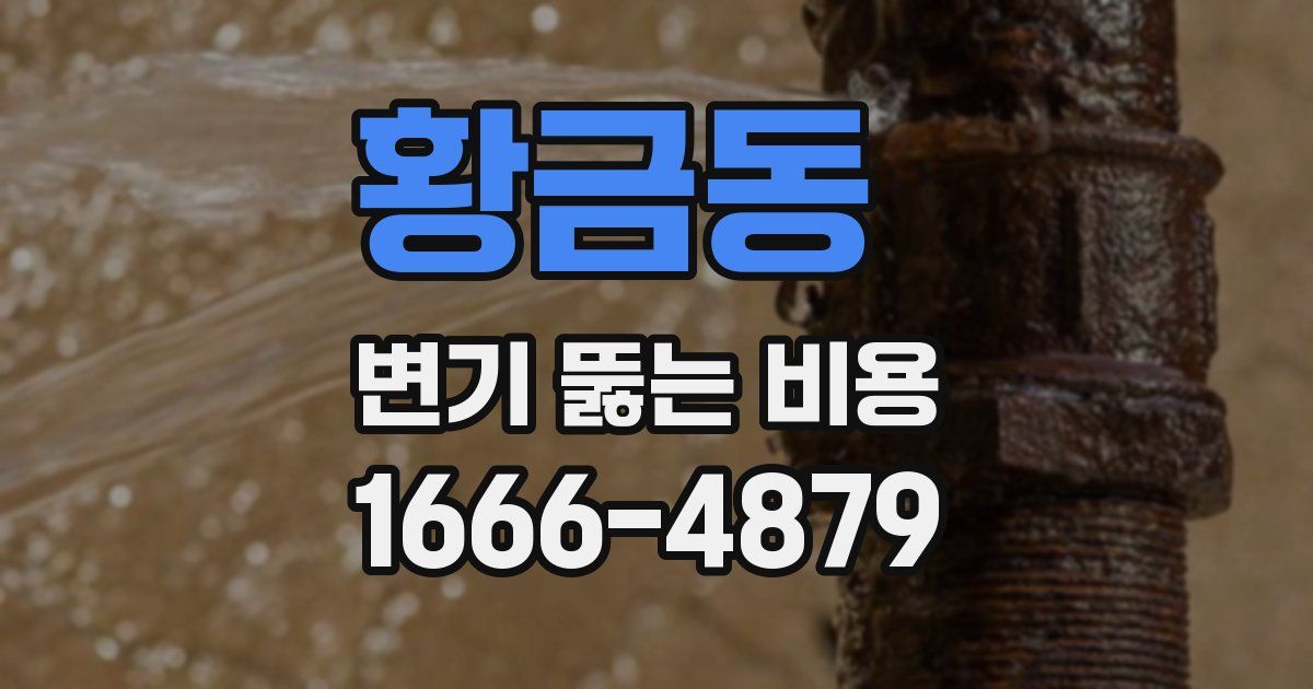 황금동 변기 뚫는 비용