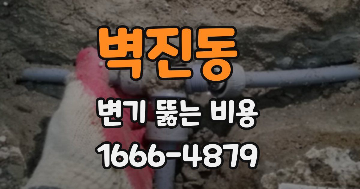 벽진동 변기 뚫는 비용