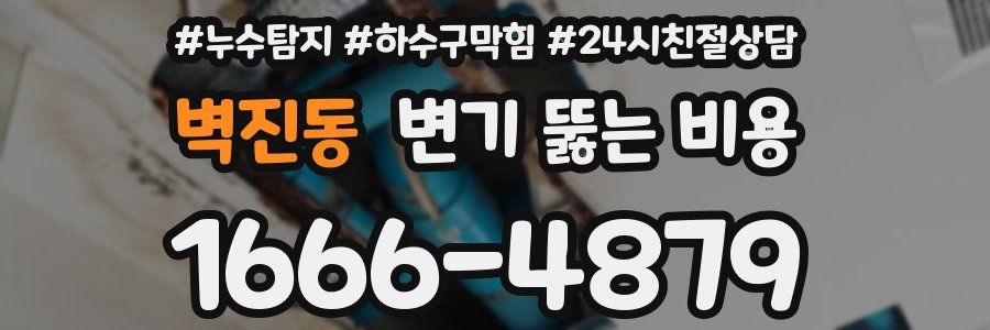 벽진동 변기 뚫는 비용