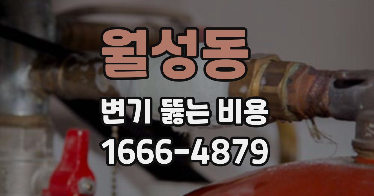 월성동 변기 뚫는 비용