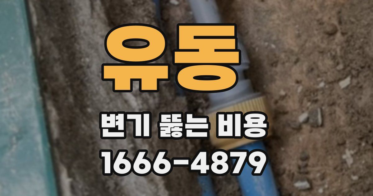 유동 변기 뚫는 비용