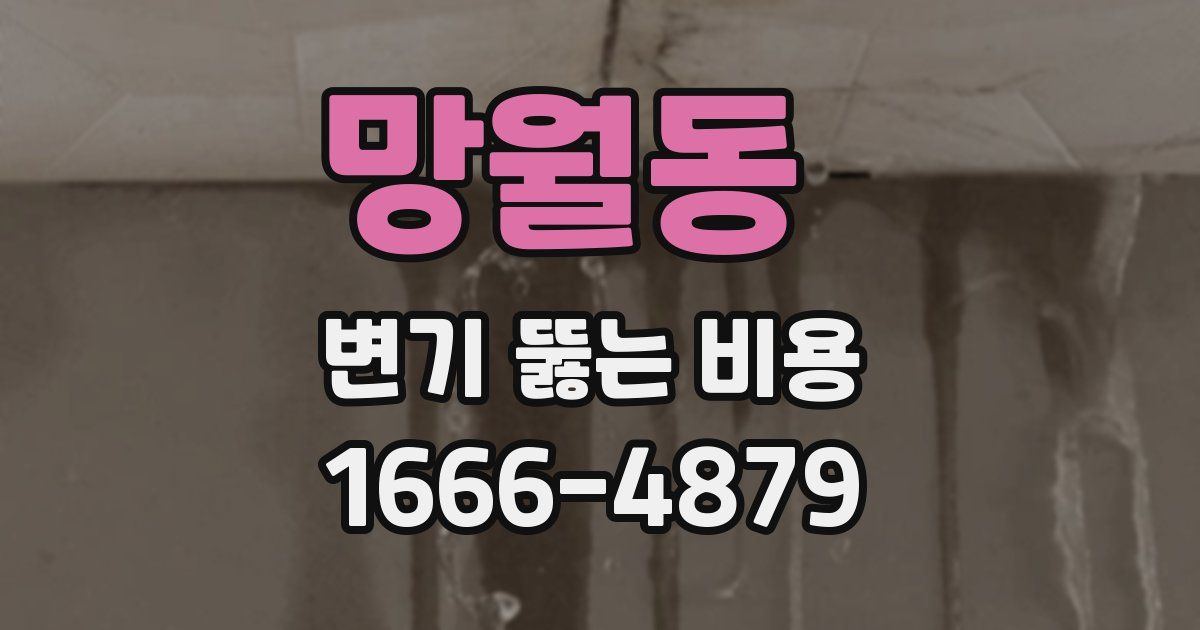 망월동 변기 뚫는 비용