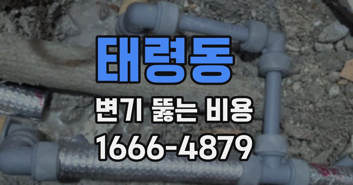 태령동 변기 뚫는 비용