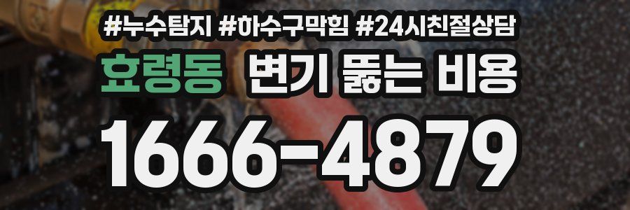 효령동 변기 뚫는 비용