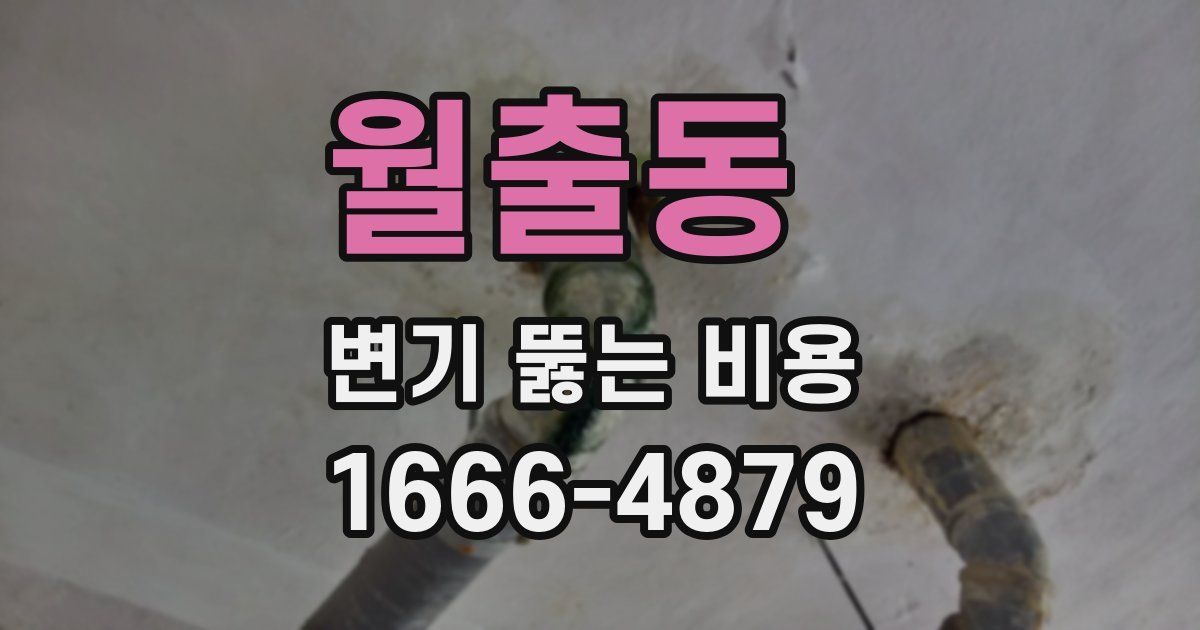 월출동 변기 뚫는 비용