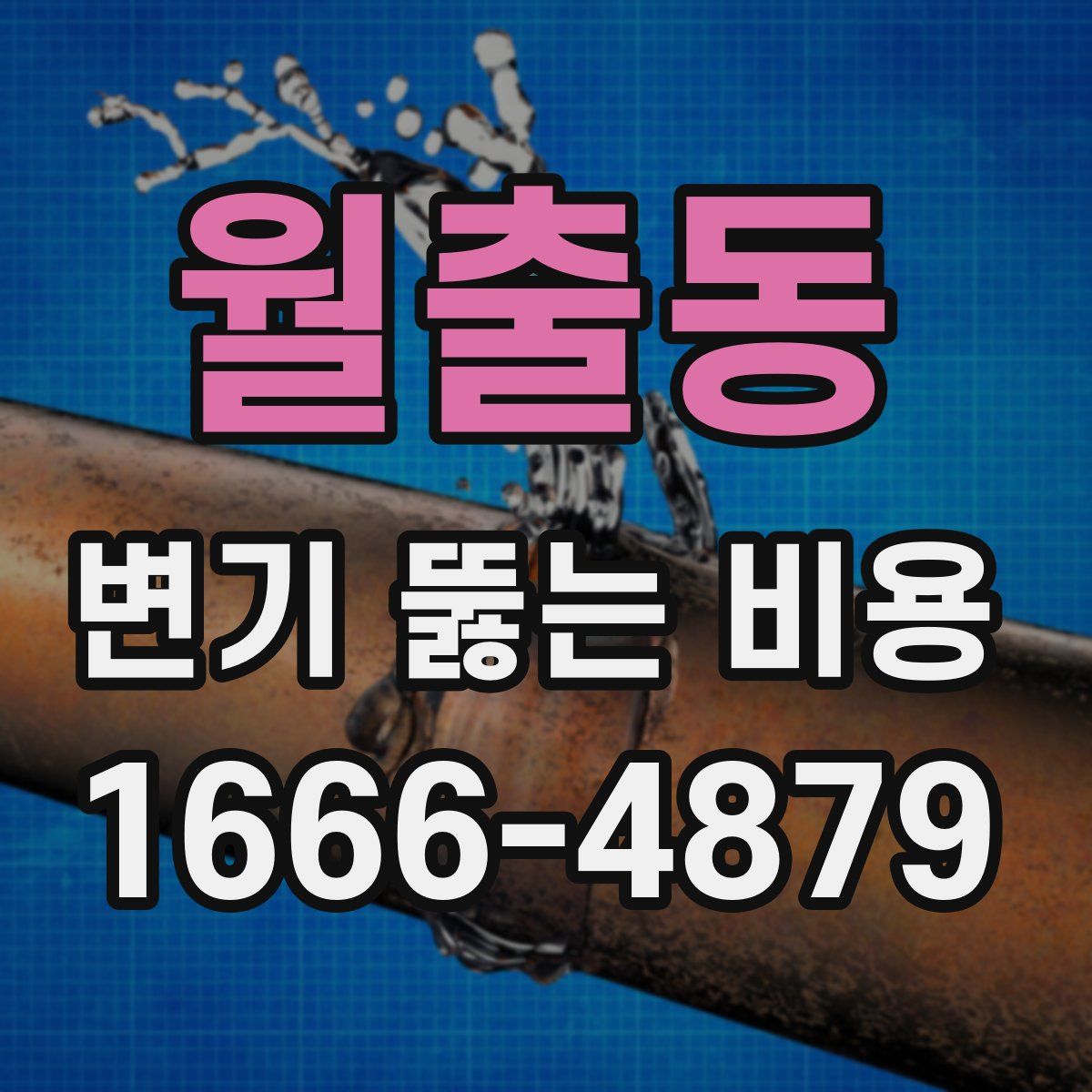 월출동 변기 뚫는 비용