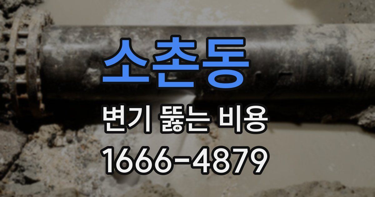 소촌동 변기 뚫는 비용