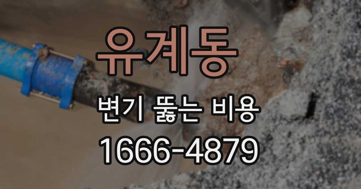 유계동 변기 뚫는 비용