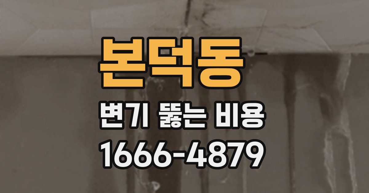본덕동 변기 뚫는 비용