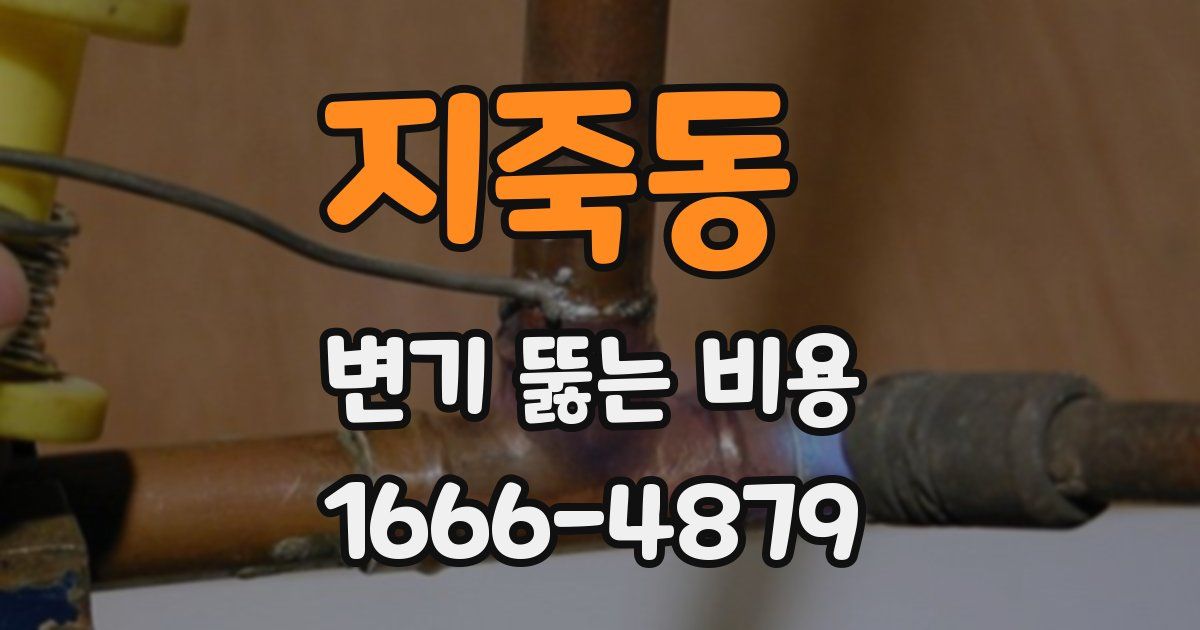 지죽동 변기 뚫는 비용