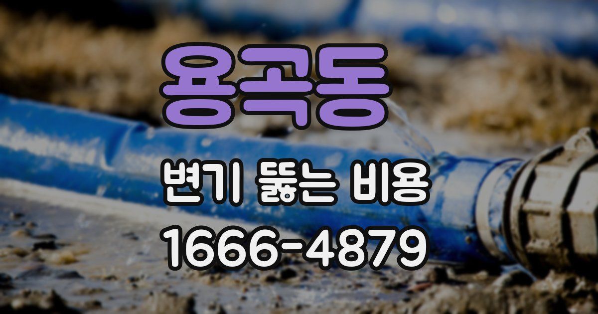 용곡동 변기 뚫는 비용
