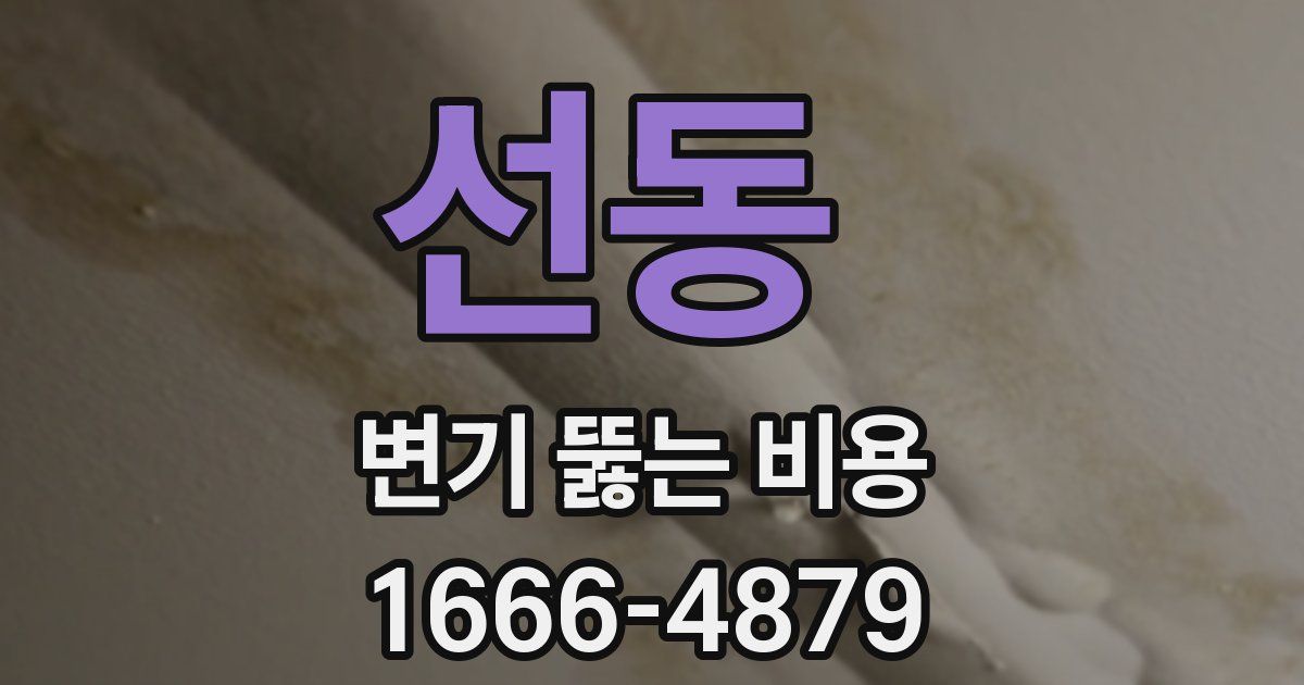 선동 변기 뚫는 비용