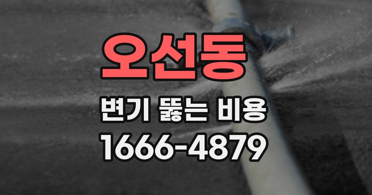 오선동 변기 뚫는 비용
