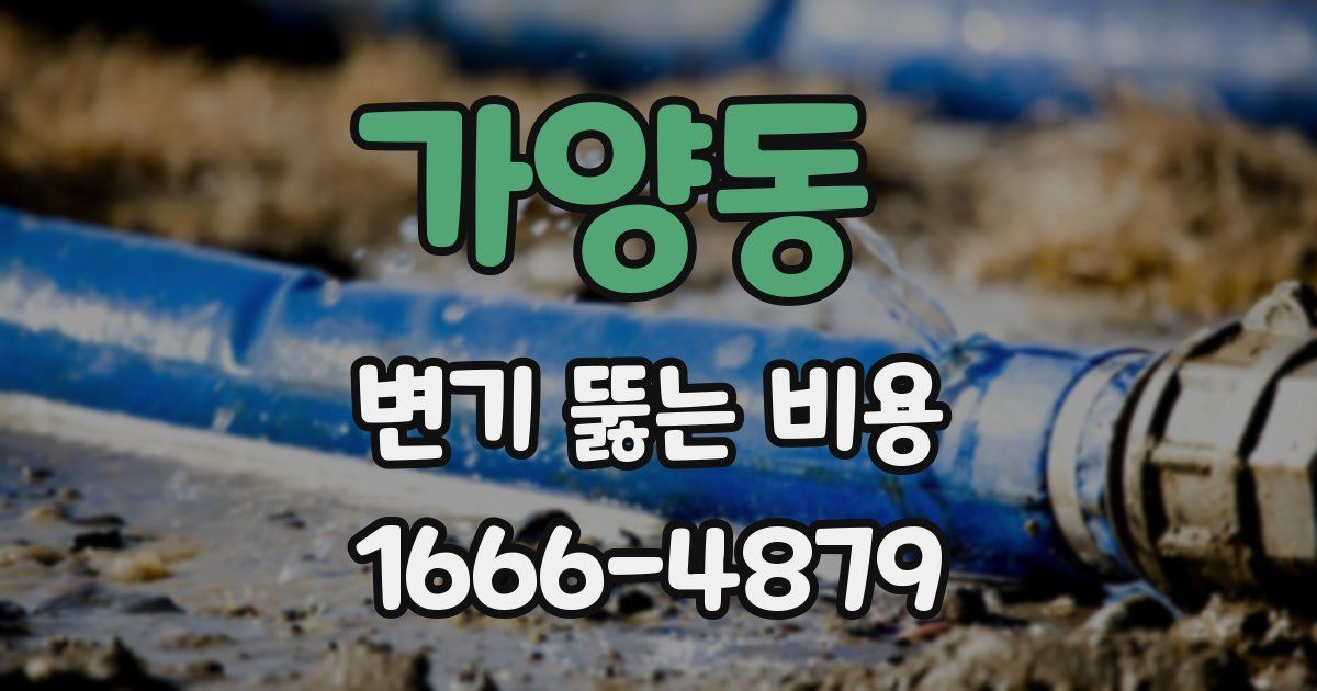 가양동 변기 뚫는 비용