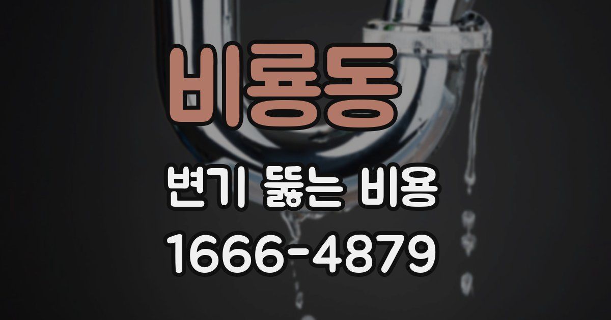 비룡동 변기 뚫는 비용
