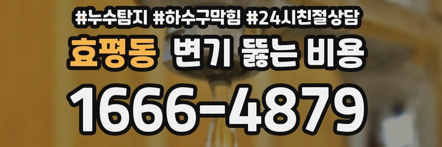 효평동 변기 뚫는 비용