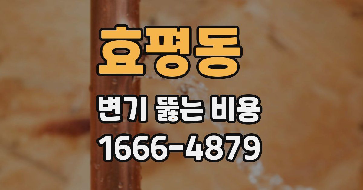 효평동 변기 뚫는 비용