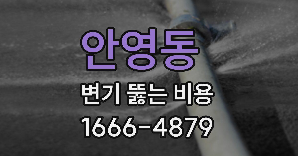 안영동 변기 뚫는 비용