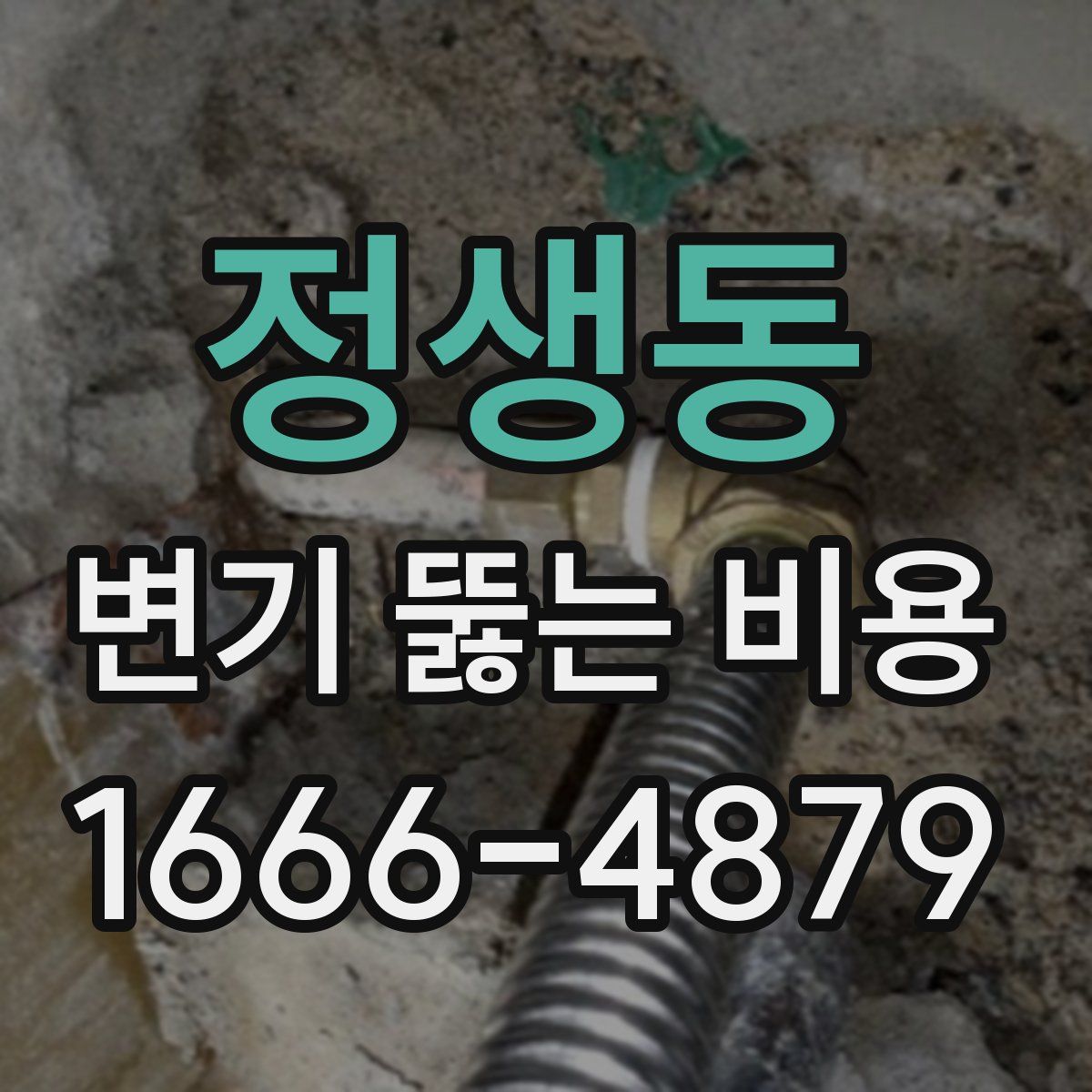 정생동 변기 뚫는 비용